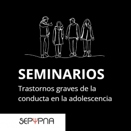 seminario transtornos graves de la conducta en la adolescencia. Formación SEPYPNA