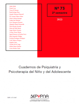 Portada Revista SEPYPNA