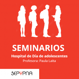 Seminarios. Hospital de Día de adolescentes