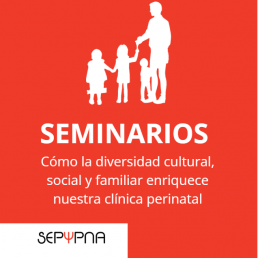 Seminarios. Cómo la diversidad cultural, social y familiar enriquece nuestra clínica perinatal*