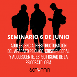 Adolescencia. Reestructuración del aparato psíquico. Crisis puberal y adolescente. Especificidad de la psicopatología. Seminario SEPYPNA 6 junio